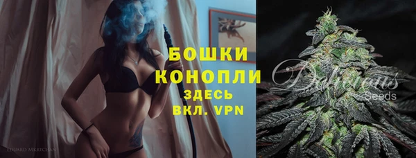 гидра Беломорск