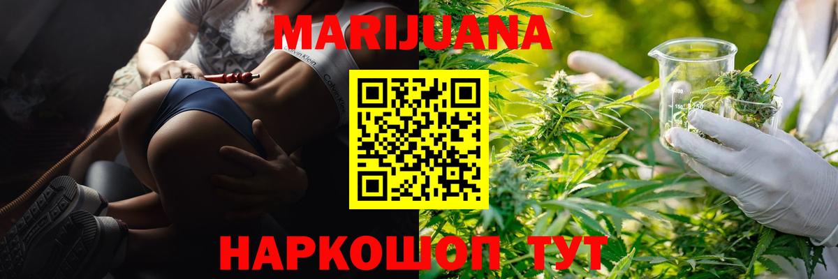 Канабис сатива Маркс